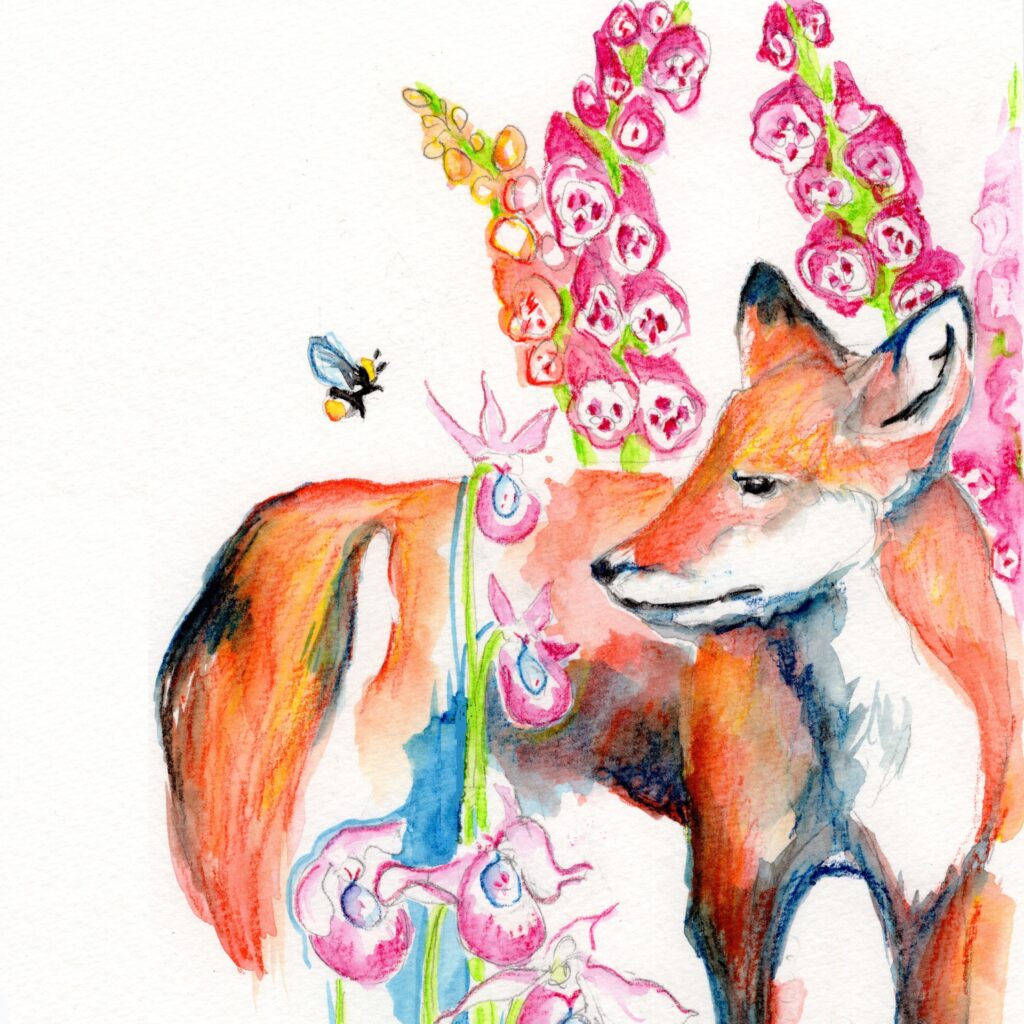 Foxgloves and Lady Slippers hp