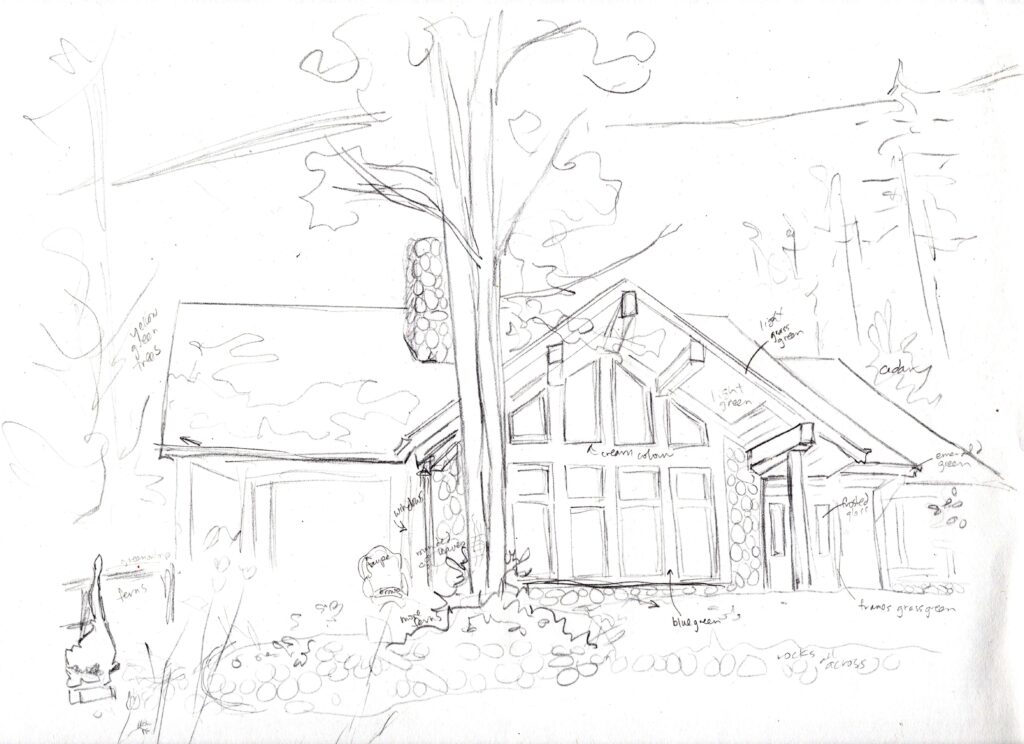Swordfern sketch