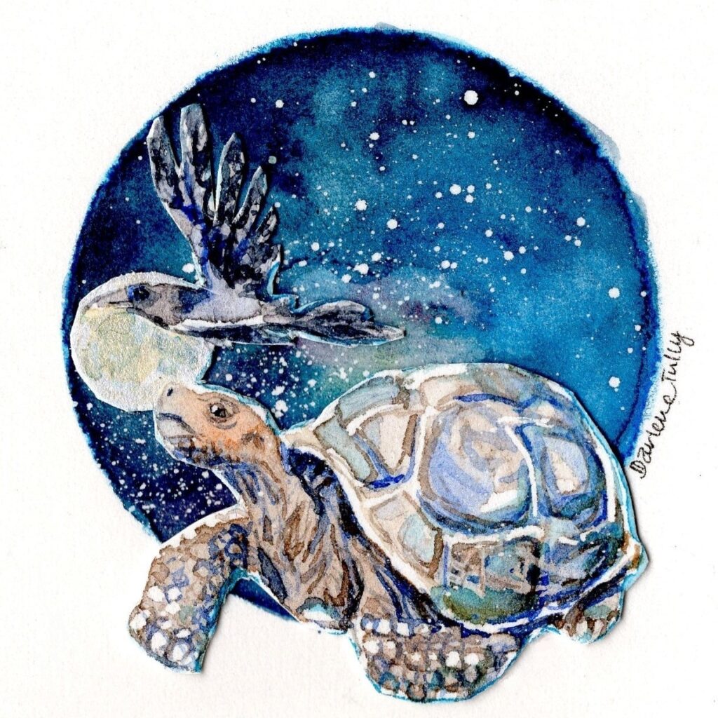 Stickers Tortoise Raven Moon (2)